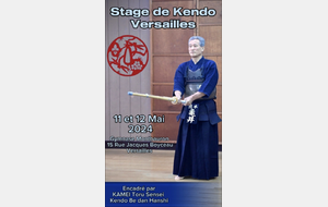 Stage de Kendo Versailles avec Kamei Sensei